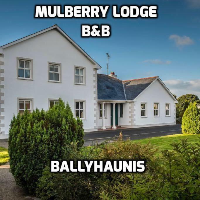 Mulberry Lodge Guest House Ballyhaunis Exteriér fotografie